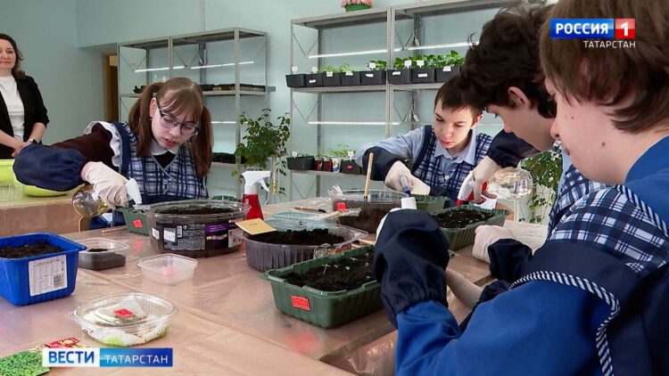 В Челнах детей с ОВЗ обучают профессиональным навыкам