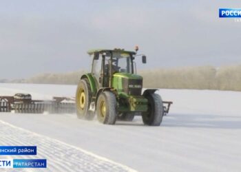 В Буинском районе аграрии беспокоятся за состояние озимых