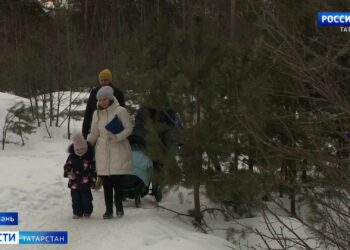 «Мы очень надеемся, что нам дадут автобус»: жители ЖК «Беседа» ходят до школы полтора километра