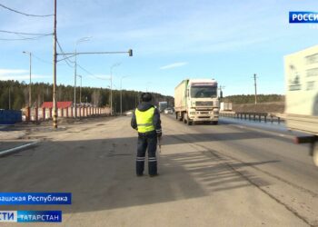 В Татарстане усилили посты на границах из-за случая сибирской язвы в Чувашии