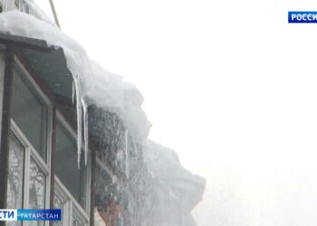 В «Казань Экспо» стартовала выставка «ТатАгроЭкспо»