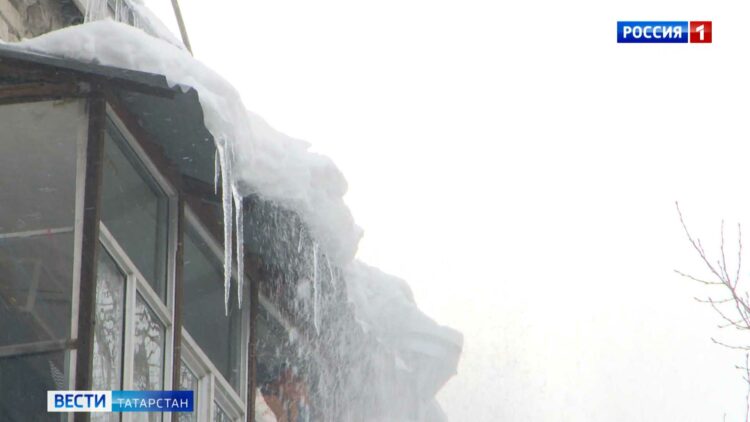 В «Казань Экспо» стартовала выставка «ТатАгроЭкспо»