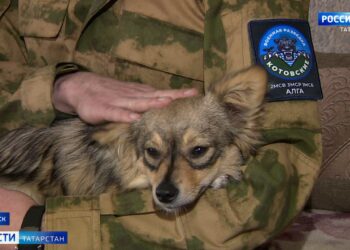 «Хлеб самим приходится печь»: в Тюлячинском районе из-за половодья начались проблемы с поставкой продуктов