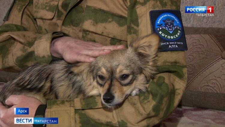 «Хлеб самим приходится печь»: в Тюлячинском районе из-за половодья начались проблемы с поставкой продуктов