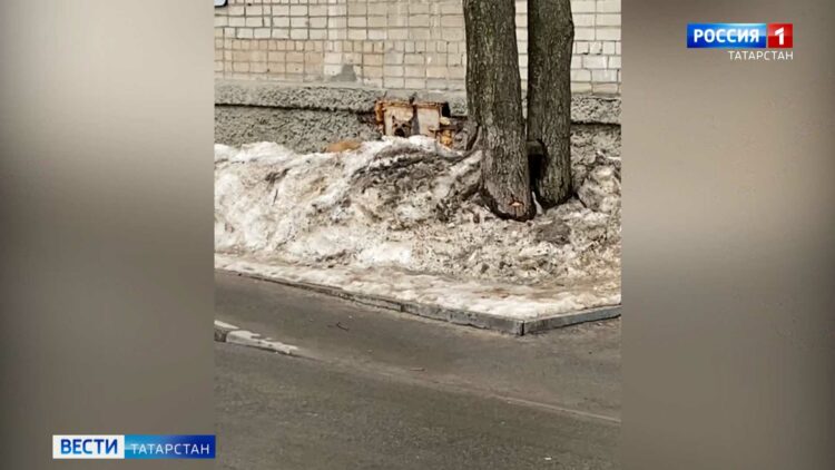 В Татарстан раньше срока вернулись утки