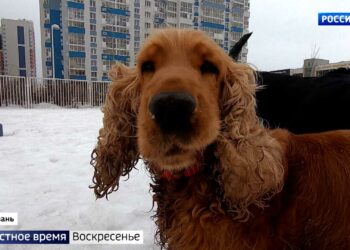 Асфальт растаял вместе со снегом: ямочный ремонт в Татарстане начался раньше срока