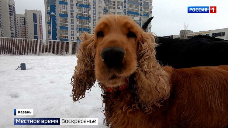 Асфальт растаял вместе со снегом: ямочный ремонт в Татарстане начался раньше срока