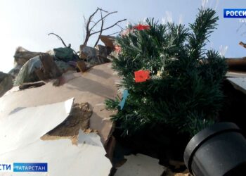 В ботаническом саду Казани зацвели подснежники