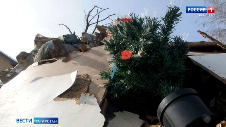 В ботаническом саду Казани зацвели подснежники