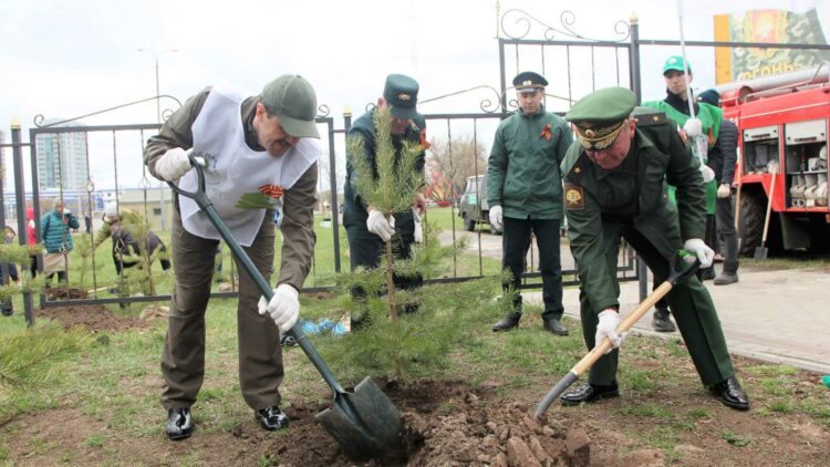 В Татарстане по нацпроекту планируют высадить миллион саженцев