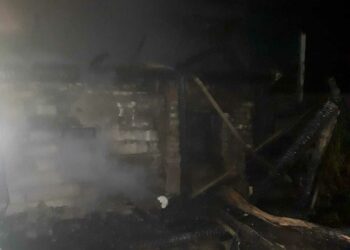 Под Челнами пожарные отстояли от огня жилые дома в поселке Рябинушка