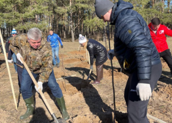 На субботнике в Челнах высадили еще 525 деревьев