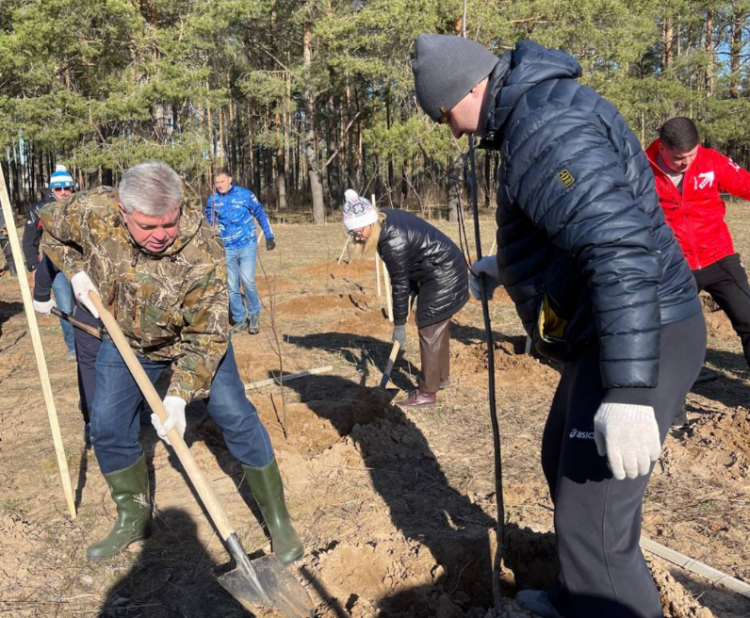 На субботнике в Челнах высадили еще 525 деревьев