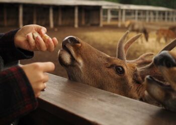 Отдых на майских в Татарстане: куда съездить и что посмотреть
