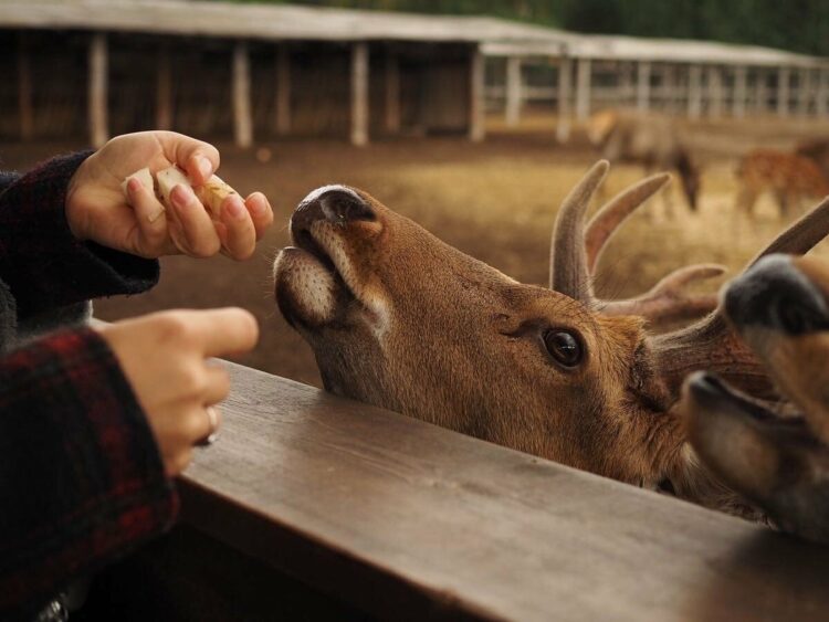 Отдых на майских в Татарстане: куда съездить и что посмотреть