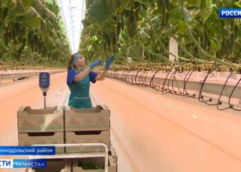 Тепличный комбинат «Майский» возвел собственной энергоцентр