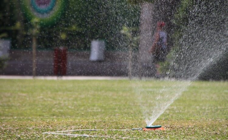 В Советском районе Казани с 15 апреля запустят автоматическую систему полива