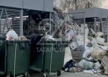 Жители Казани жалуются на гигантскую свалку с крысами возле супермаркета