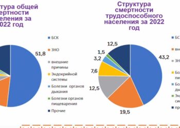 Власти Нижнекамска раскрыли самую частую причину смерти горожан