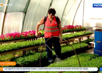 На улицах Альметьевска высадят 17 видов цветов