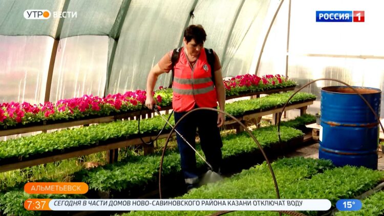 На улицах Альметьевска высадят 17 видов цветов