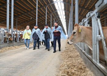 Минниханов посетил молочную ферму в Елабужском районе