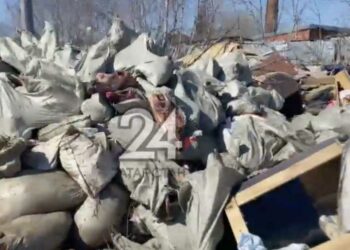 Жители Казани жалуются на свалку из останков животных и строительного мусора