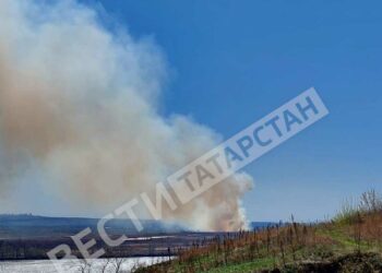 В Елабужском районе загорелась трава