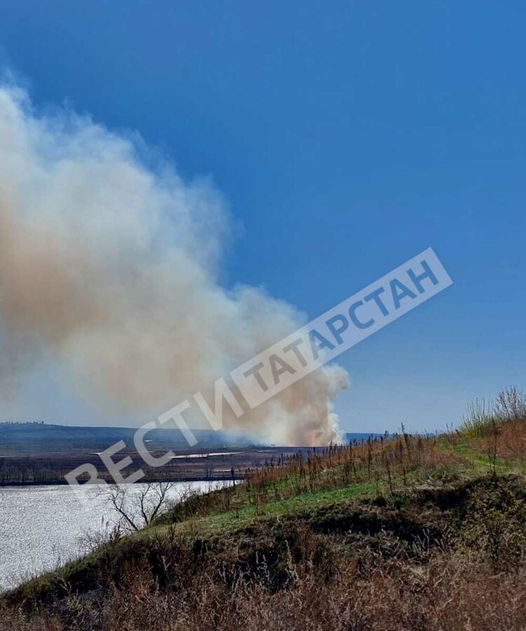В Елабужском районе загорелась трава