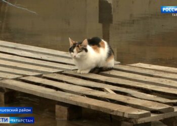 На льду озера Изумрудное появилось огромное фиолетовое пятно