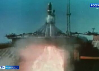 Пруд в селе Войкино Алексеевского района РТ облюбовала лебединая пара