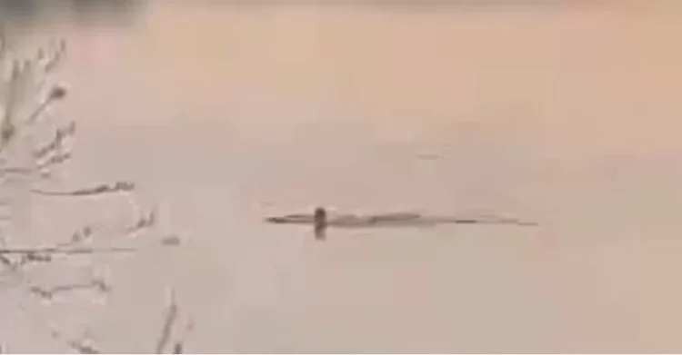 В Челнах заметили мужчину, купающегося в ледяной Каме