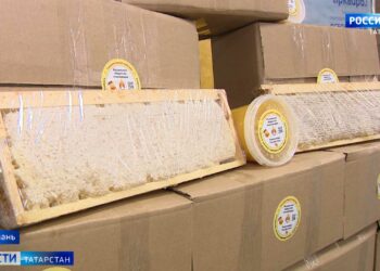 Пчеловоды Татарстана отправят 300 кг меда бойцам «Алга» и «Тимер»