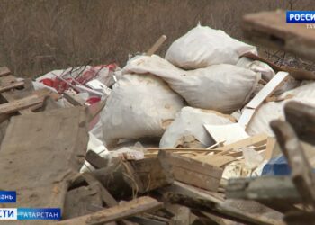 В Вахитовском районе усилят контроль за собаками после нападения на женщину с ребёнком