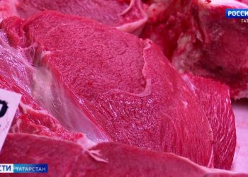 В Челнах усилили проверки мяса после вспышки сибирской язвы в Чувашии