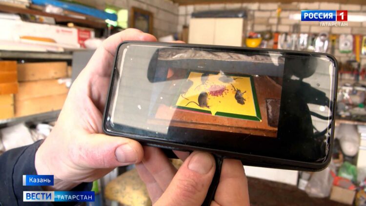 На льду озера Изумрудное появилось огромное фиолетовое пятно