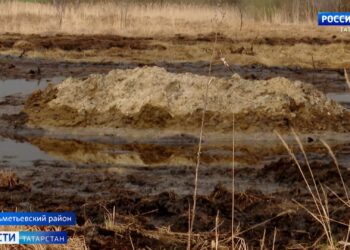 В Альметьевском районе прошел разлив нефти размером с небольшое озеро