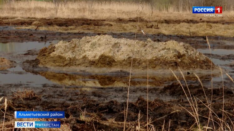 В Альметьевском районе прошел разлив нефти размером с небольшое озеро