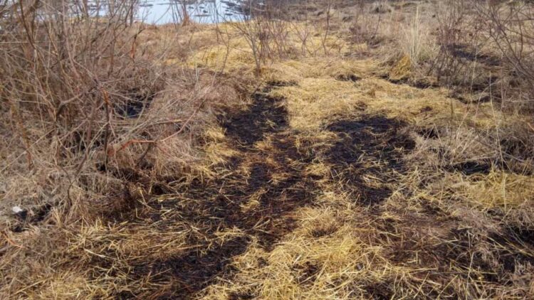 В Татарстане прорыв нефтепровода привел к загрязнению больше 3 тыс. кв. м земель