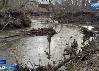 Видно невооруженным глазом: пять планет выстроились в парад