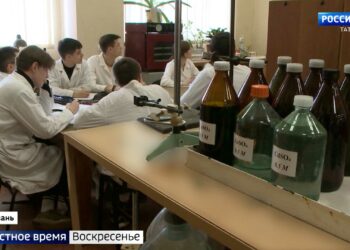 Быть или не быть: эксперты высказались о возможном отказе от Болонской системы