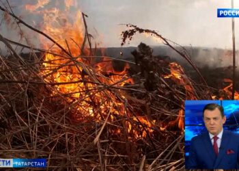 В лесах Татарстана проснулись гадюки