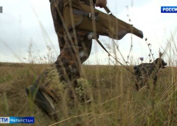 За 12 дней весенней охоты выявили более 30 нарушений