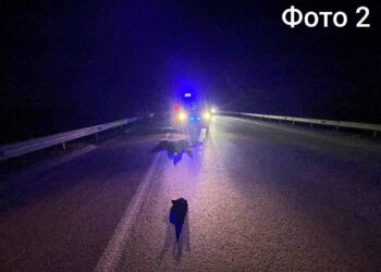 На трассе в Елабужском районе за ночь сбили двоих мужчин