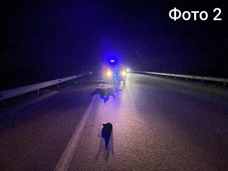 На трассе в Елабужском районе за ночь сбили двоих мужчин