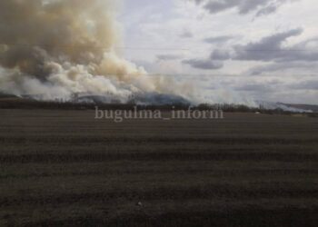 В Бугульминском районе горит лес