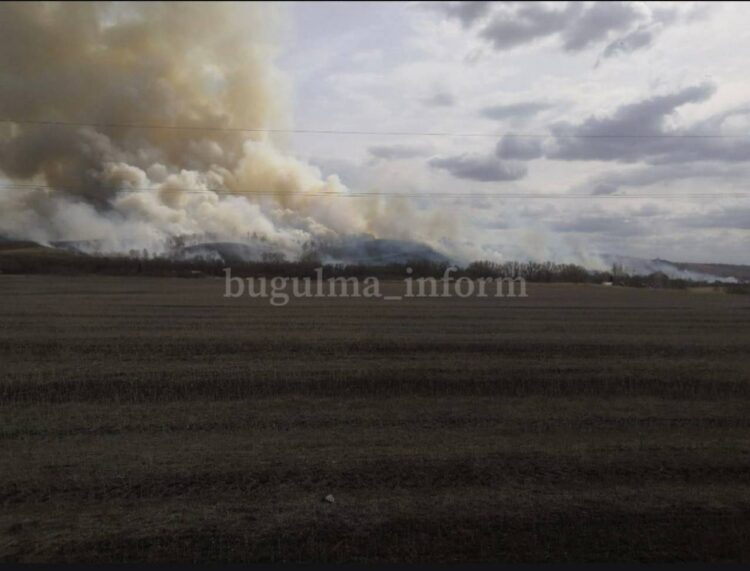 В Бугульминском районе горит лес