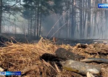 Несколько пожаров за один день зафиксировали в Татарстане из-за пала травы