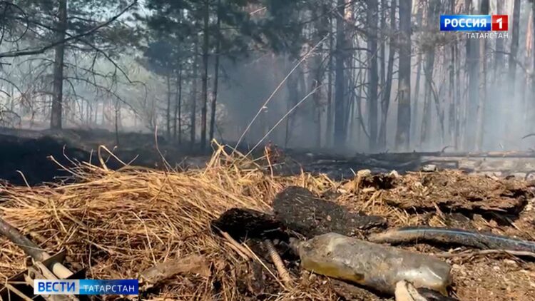 Несколько пожаров за один день зафиксировали в Татарстане из-за пала травы