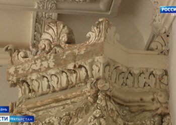 Жители Казани могут проголосовать за обустройство площадки для собак